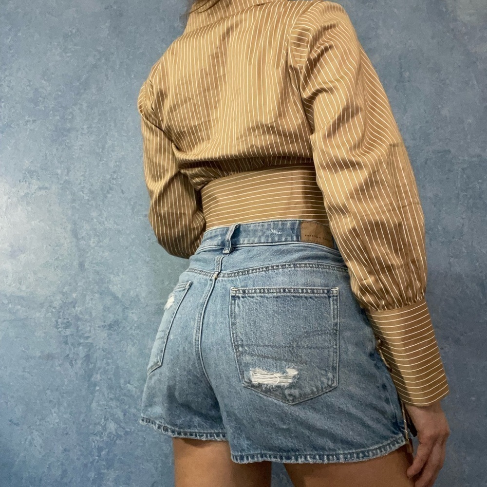 Nashional Permit Striped Cropped Collar Shirt - Picture 3 of 4